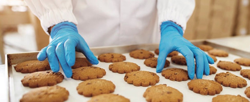 RSPO Supply Chain Certification for Palm Oil