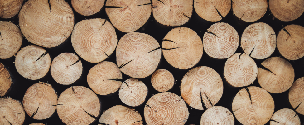 BM Certification public announcements