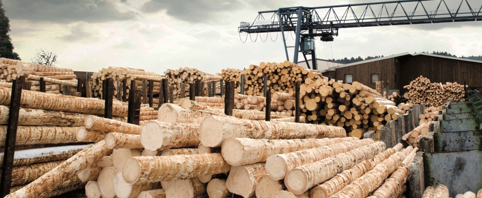 UKTR United Kingdom Timber Regulation