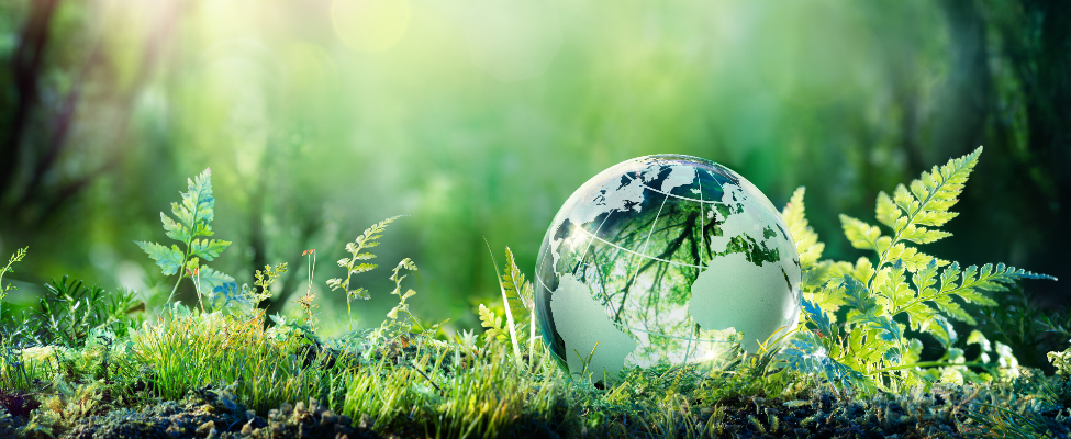 ISCC International Sustainability and Carbon Certification